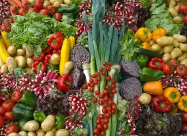 A well-organized vegan food list can be a game-changer for anyone exploring plant-based living.