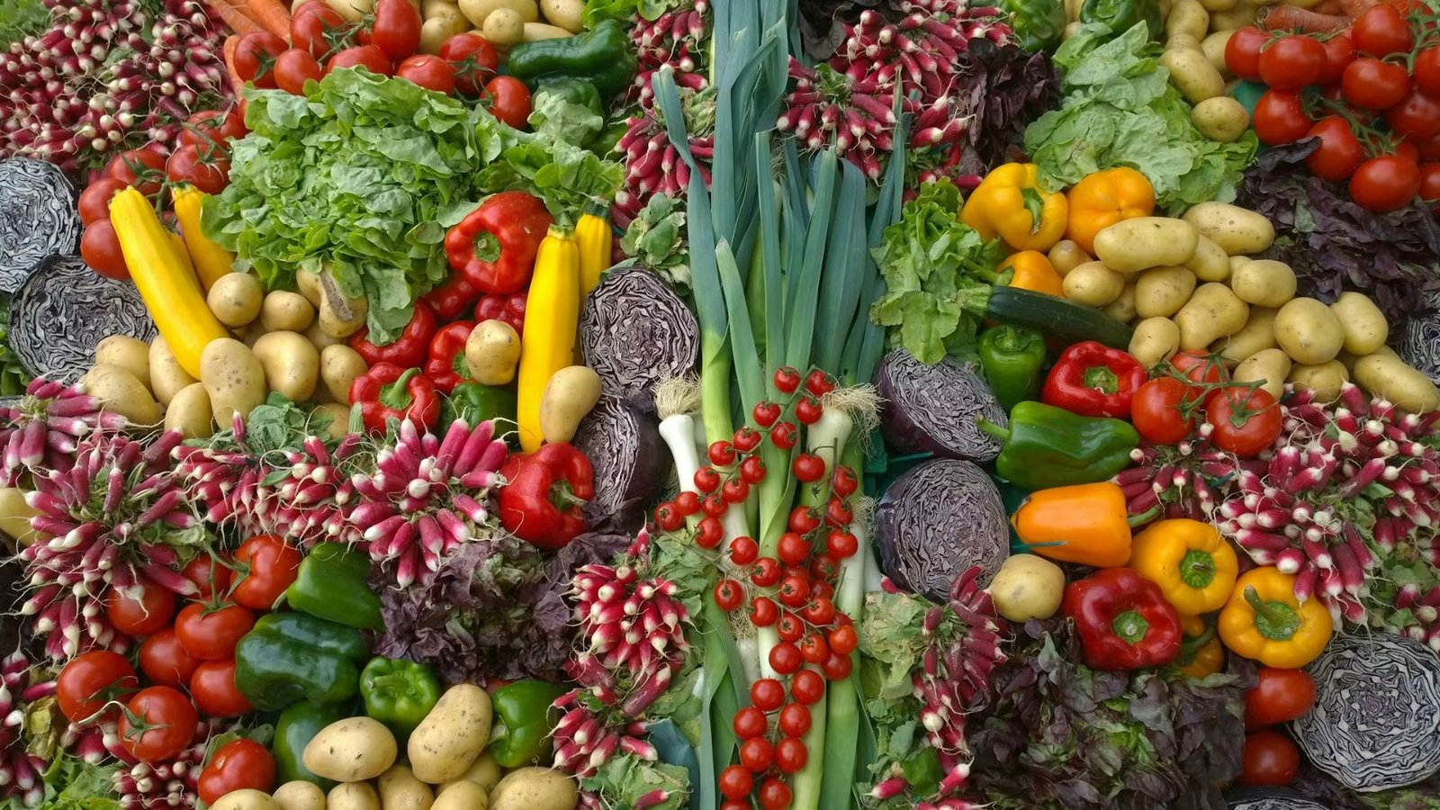 The Essential Vegan Food Guide: Your Plant-Based List